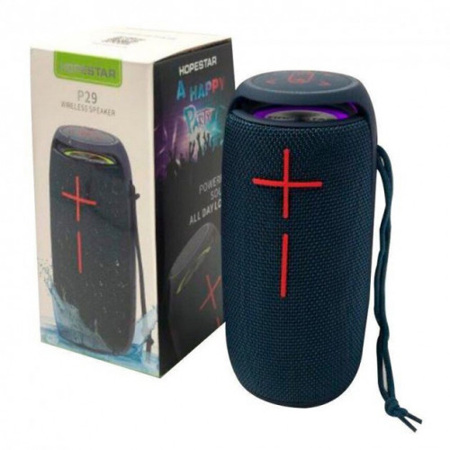 Колонка Hopestar P29 (30)