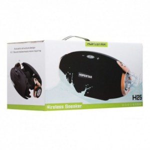 Колонка Hopestar H25 (12) Колонка Hopestar H25 (12)