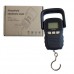 Кантер WH-A29, 50кг (10г) Кантер WH-A29, 50кг (10г)