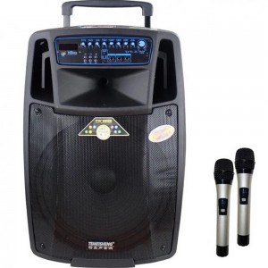 Переносноя колонка Temeisheng SL 10-01