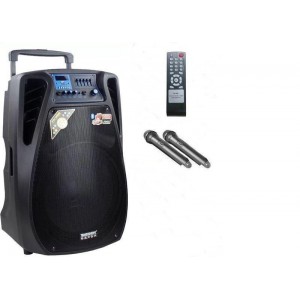 Переносноя колонка Temeisheng SL 10-02