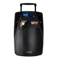 Переносноя колонка Temeisheng SL 15-02