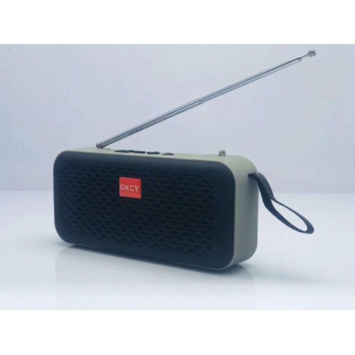 Портативная Bluetooth колонка с радио OKCY-C1