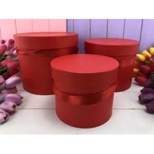 Коробочка для цветов "Glow" красная 3 шт. Коробочка для цветов "Glow" красная 3 шт.