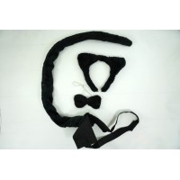 Набор (пантера)