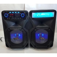 Профессиональная акустическая система ZX-8899