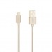 Кабель Apple usb Lightning Melkin M8J144 1,2 м Золотой