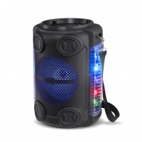 Автономная активная акустическая система RX-6118