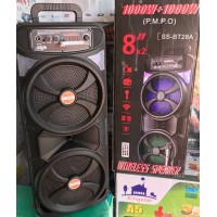 Автономная активная акустическая система SS-28A 1000W+1000W 2*16