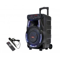 Автономная активная акустическая система SS-7373 