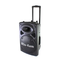 Автономная активная акустическая система Su-Kam BT 120D, 2 микрофона 12v 220v Автономная активная акустическая система Su-Kam BT 120D, 2 микрофона 12v 220v