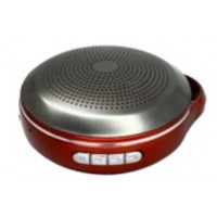 Портативная колонка с Bluetooth WS-A77 Портативная колонка с Bluetooth WS-A77