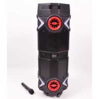 Портативная колонка Wesyman Q82, 80Вт, 8", 37x85x35см 