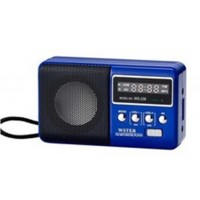 Портативная колонка WS-239