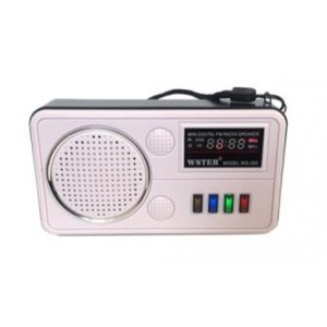 Портативная колонка WS-260 Портативная колонка WS-260