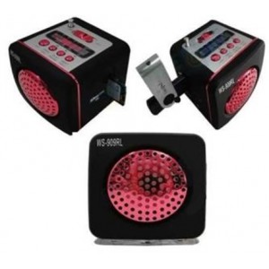 Портативная колонка WS-909RL Портативная колонка WS-909RL