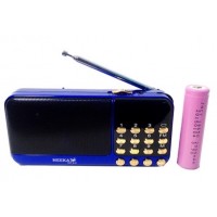 Портативный плеер с FM радио Neeka NK-931