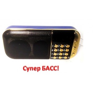Портативный плеер с FM радио Neeka NK-937 Портативный плеер с FM радио Neeka NK-937