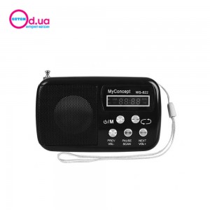 Портативная колонка Bluetooth WS-822 Портативная колонка Bluetooth WS-822
