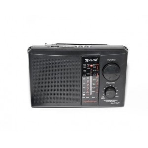 Радио GOLON RX-F18UR Радио GOLON RX-F18UR