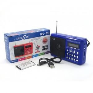 Радиоприемник с USB WS-291 Радиоприемник с USB WS-291