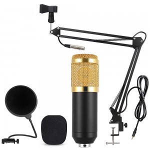 Микрофон студийный DM 800 Микрофон студийный DM 800