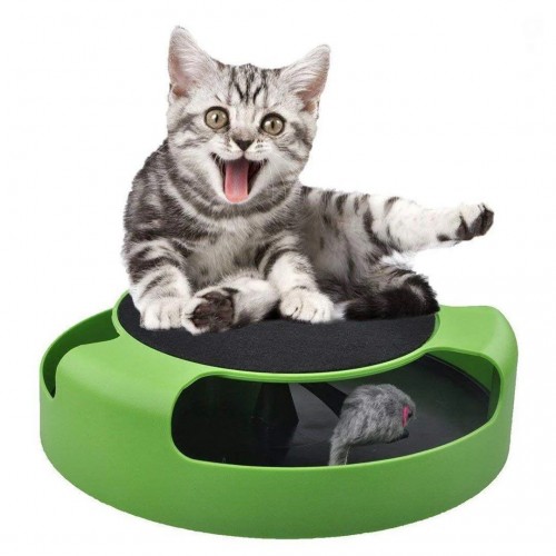 Іграшка інтерактивна для кота з мишкою Catch The Mouse (дряпка)