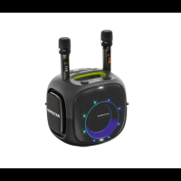 Колонка Hopestar partyone ULTIMATE 240W (2 микрофона) (4)