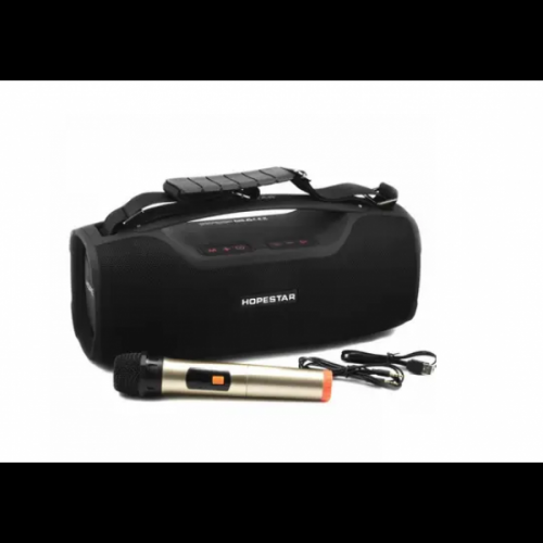Колонка HOPESTAR A6 pro 55W (8)