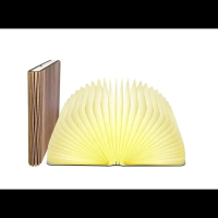 настольная светодиодная лампа-книга с USB-зарядкой BOOK LAMP (размер 120мм/90мм) (55)