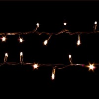 Гирлянда улица 100LED (RD7073) 10м. с контролером 220V (Черный провод), Синий