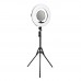 Лампа Fill Light FD-480II