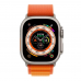 Ремінець Alpine Loop для Apple Watch 38/40/41mm