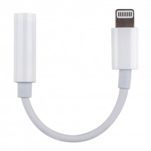 Aux For IP to 3.5 Jack 1:1