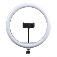 Лампа Fill Light 30cm (M-300)