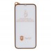 Захисне скло 9H Design for Apple iPhone 12 Pro Max