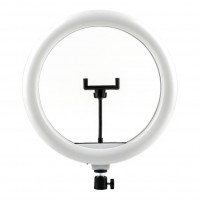 Лампа Fill Light 30cm (QX-300) Лампа Fill Light 30cm (QX-300)