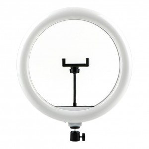 Лампа Fill Light 30cm (QX-300) Лампа Fill Light 30cm (QX-300)