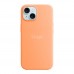 Чохол Silicone Case with MagSafe для iPhone 15 Plus