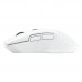 Бездротова Миша Ігрова FANTECH WG12RS Raigor III Silent click