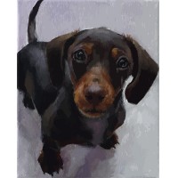 Картина по номерам Такса, 40х50 см(VA-0014)
