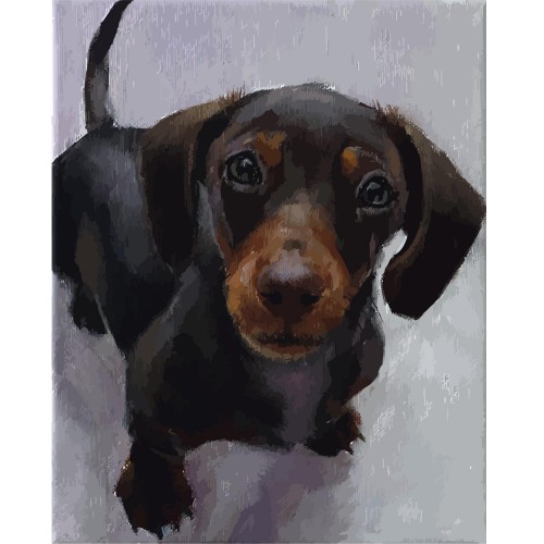 Картина по номерам Такса, 40х50 см(VA-0014)