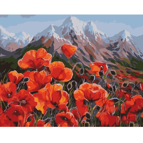 Картина по номерам Strateg , Маки в подгоръе 40х50 см