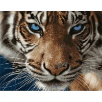 Картина по номерам Strateg Тигр голубоглазый, 40х50 см