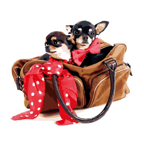 Картина по номерам Strateg Маленькие той-терьєры, 40х50 см