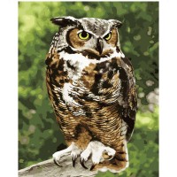 Картина по номерам Strateg Мудрая сова, 40х50 см