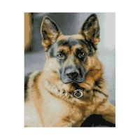 Алмазная мозаика Strateg «Лучший охранник», 40х50 см